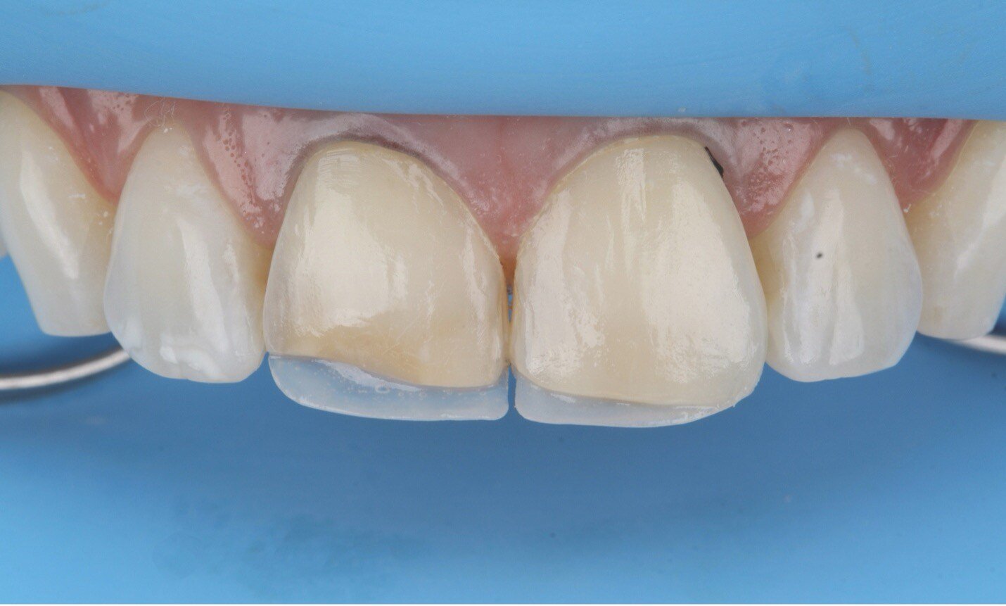 Picture5-Feb-28-2025-06-03-31-3302-PM